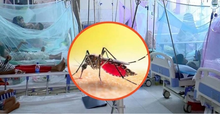 ডেঙ্গুর মৃত্যু মিছিলে আরও ৫ জন, হাসপাতালে ৭৯২