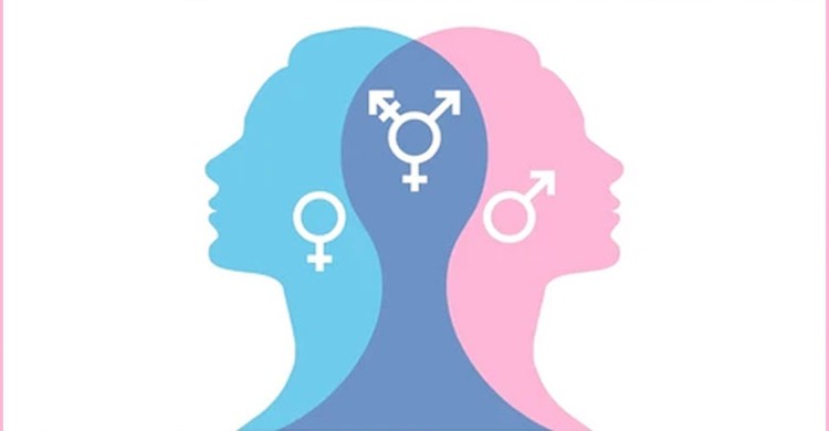 হঠাৎ লিঙ্গ পরিবর্তন সম্ভব না: বিজ্ঞান ও ইসলামের দৃষ্টিকোণ