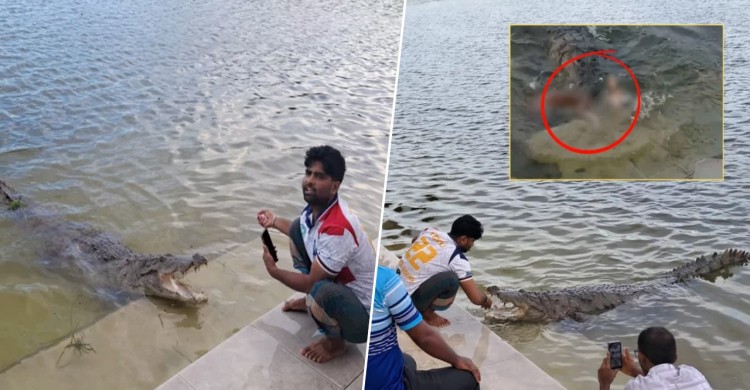 কুমিরের ভিডিও ভাইরাল: জিডি, তদন্ত কমিটির পর সেই কুকুরের পোস্টমর্টেম