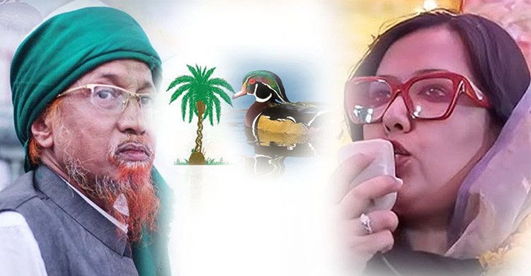 জুনায়েদের খেজুর গাছ ছেড়ে রুমিনের হাঁসের প্রচার করায় ছাত্রদলের ৭ নেতা বহিষ্কার