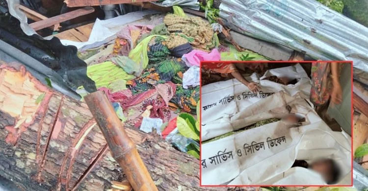 জামালপুরে কালবৈশাখী ঝড়ের তাণ্ডব, গাছ চাপায় মা ও দুই মেয়ের মর্মান্তিক মৃত্যু