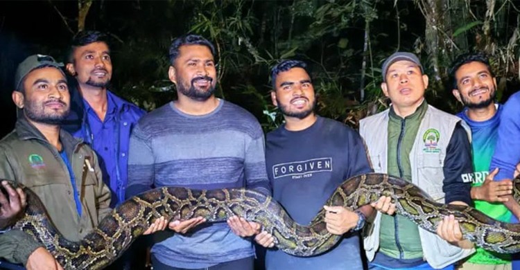 লোকালয়ে ঢুকে পড়ল ১৪ ফুট লম্বা ও ৪০ কেজি ওজনের সাপ!