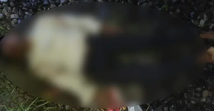 গাজীপুরে টিকটক ভিডিও বানাতে গিয়ে ট্রেনে কাটা পড়ে দুই যুবক নিহত