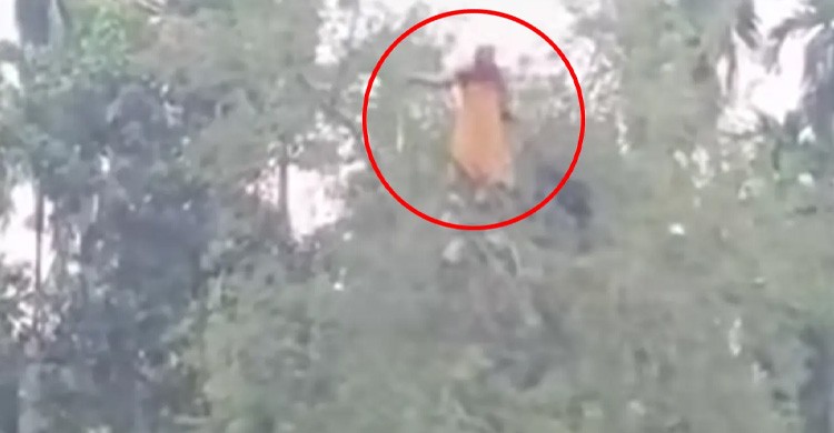 তেঁতুল গাছের মগডালে মিলল নিখোঁজ নারী, ফায়ার সার্ভিস দেখে ঝাঁপ দিলেন পুকুরে